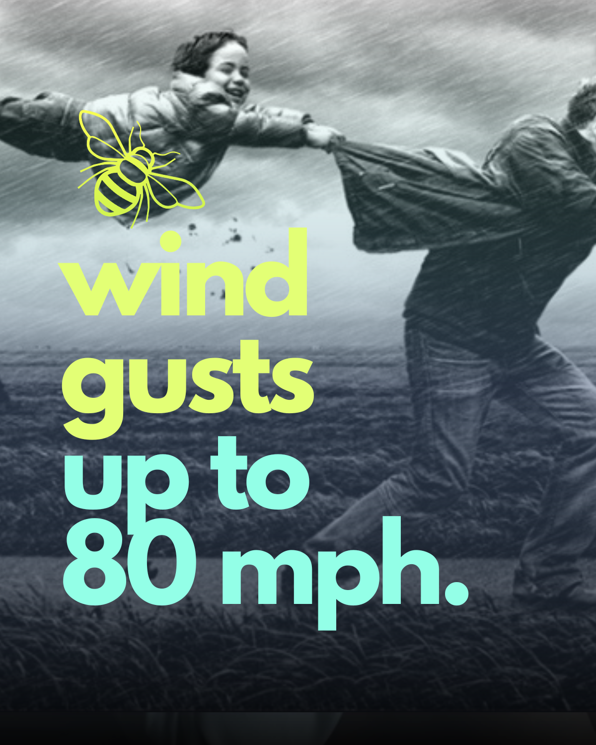 Wind event expected to bring 80 mph gusts