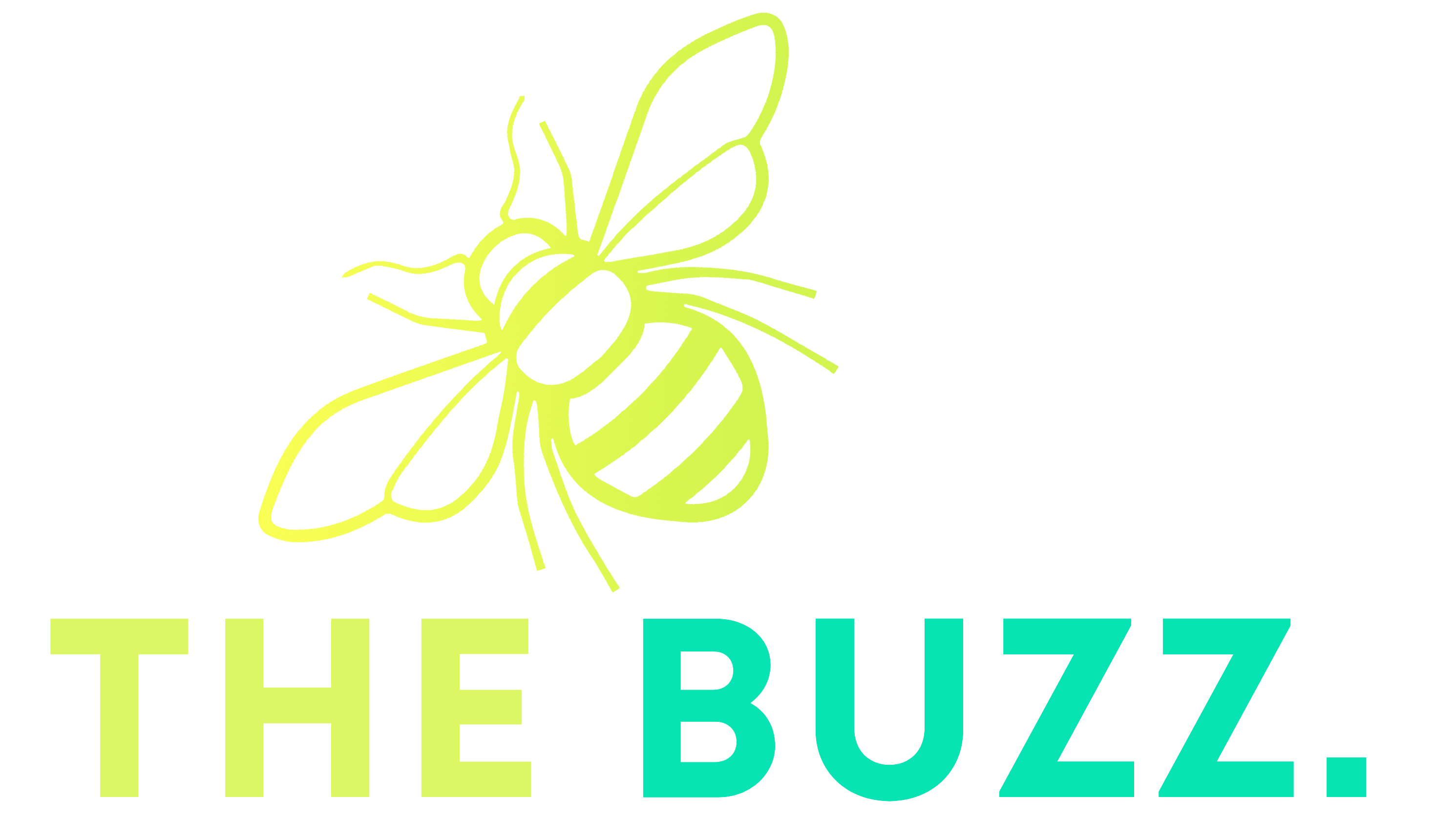 The Buzz SCV